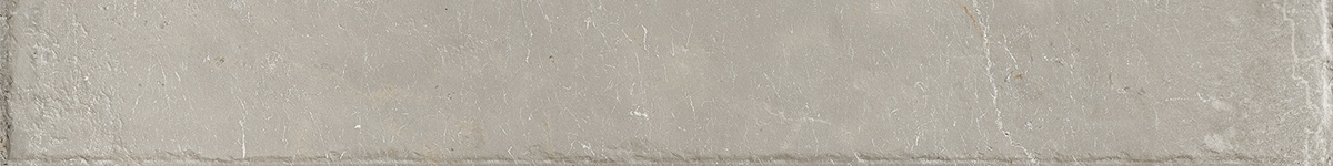Erice Taupe 3X24″