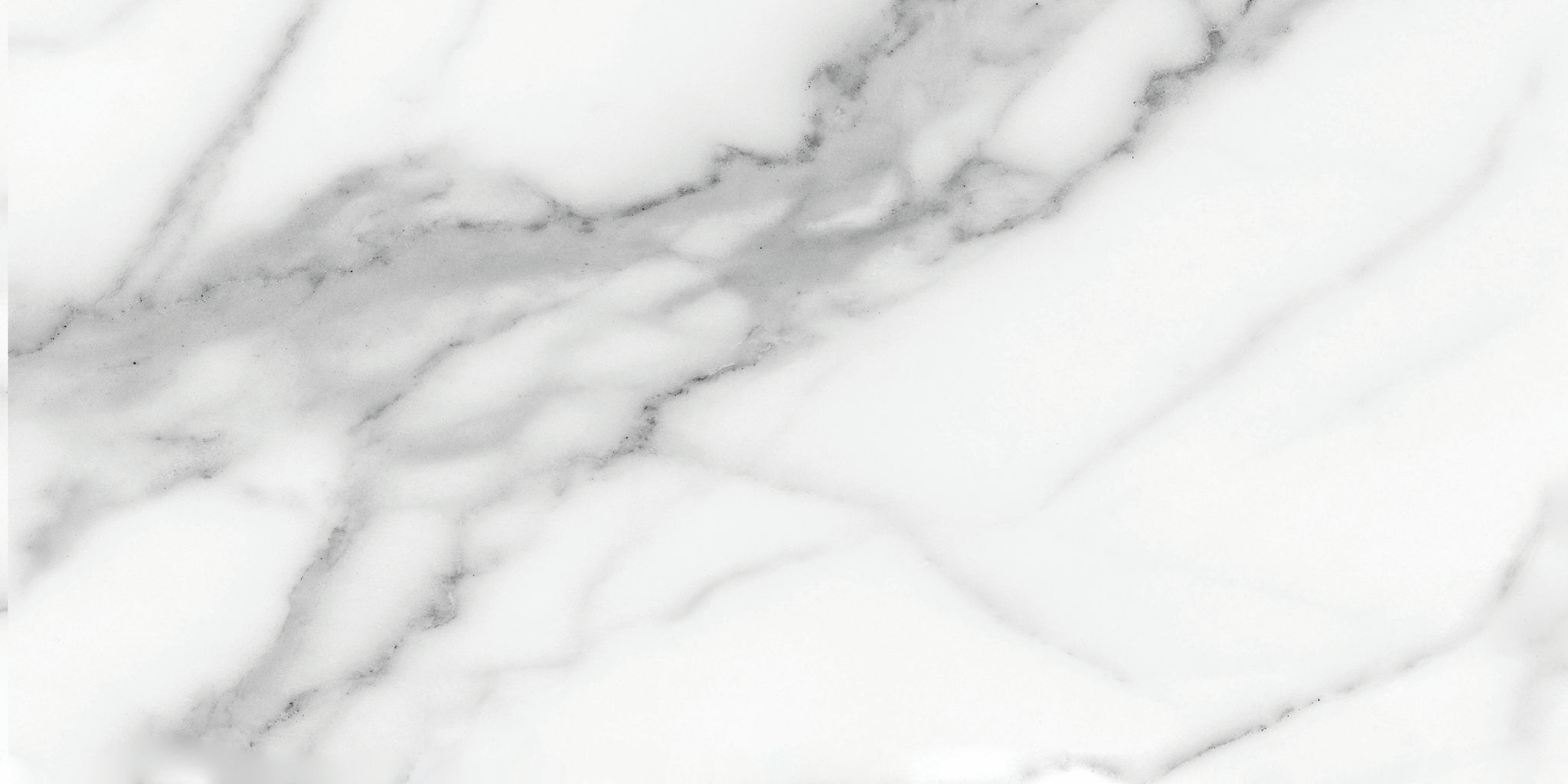 Florence 12X24F Statuario Matte