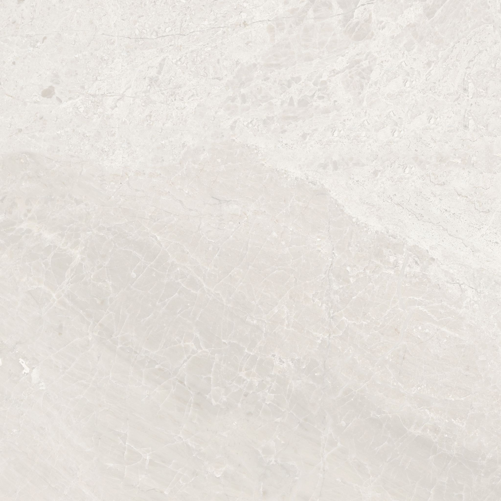 Florence 13X13F Ivory Matte