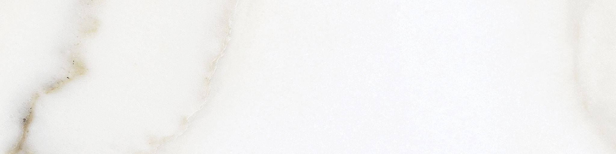 Florence 3×12 Calacatta Matte Bullnose