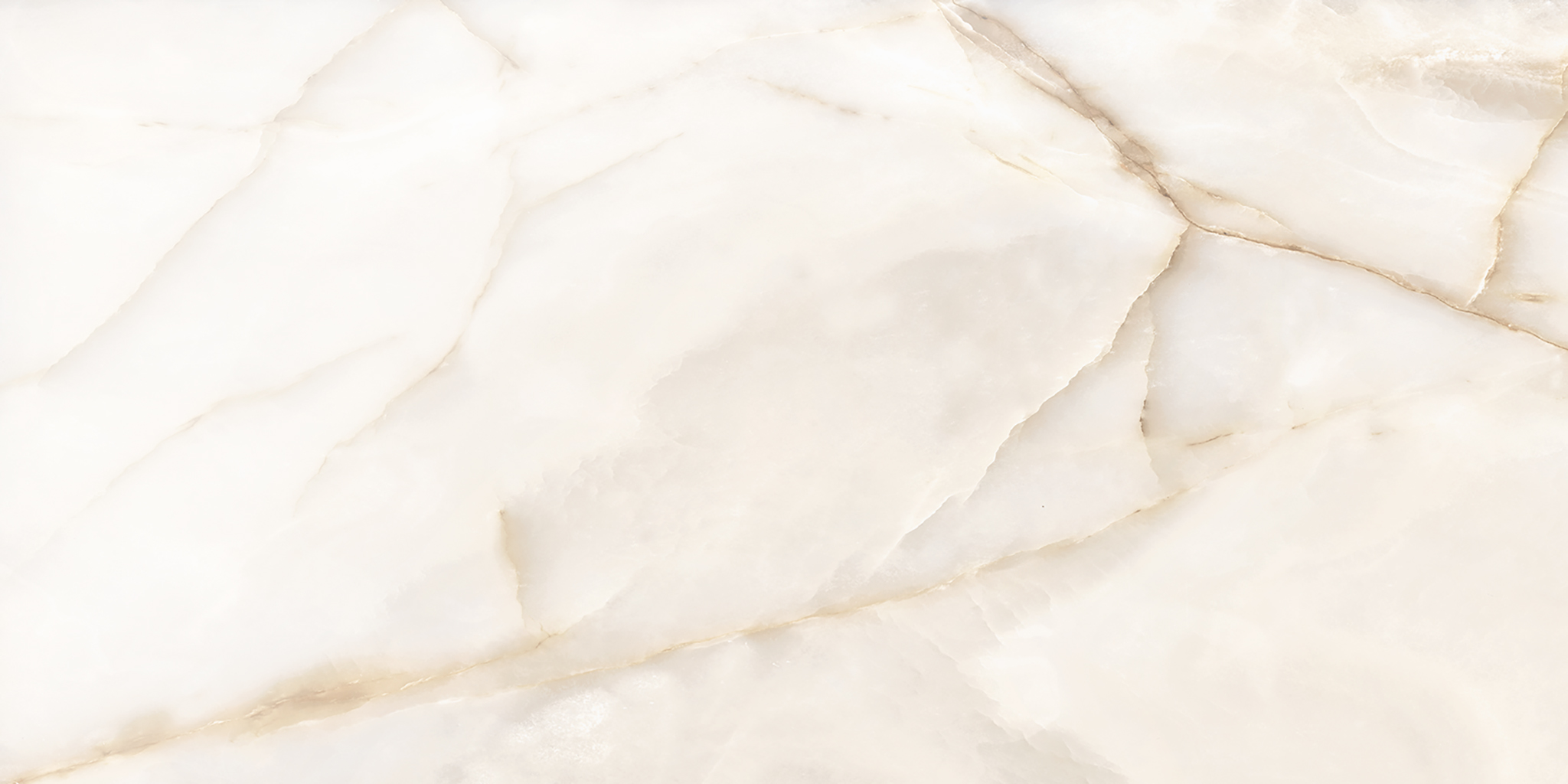 Intrigue Ivory Matte 24×48