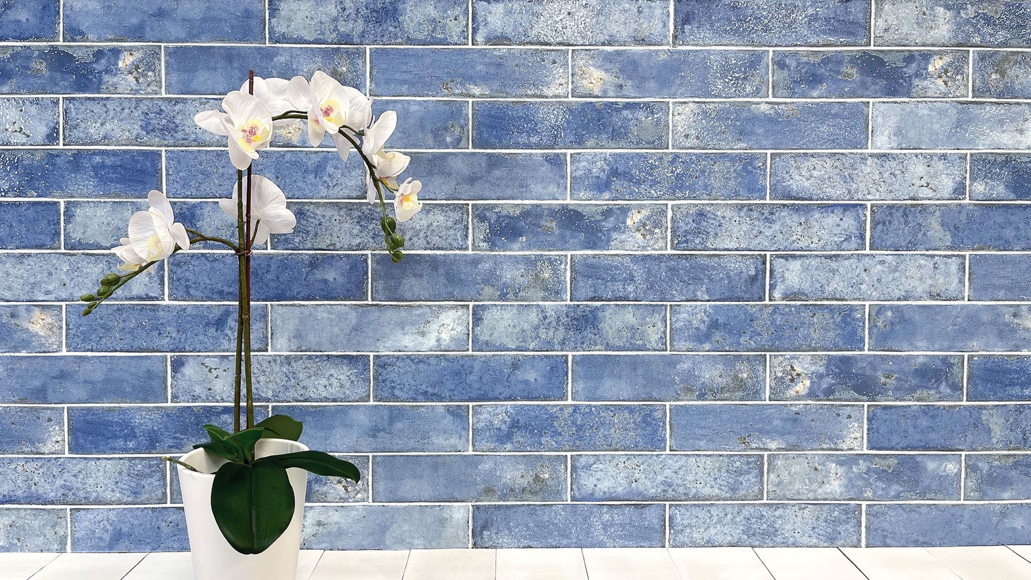Jamaica Blue 3x11 | Demolive