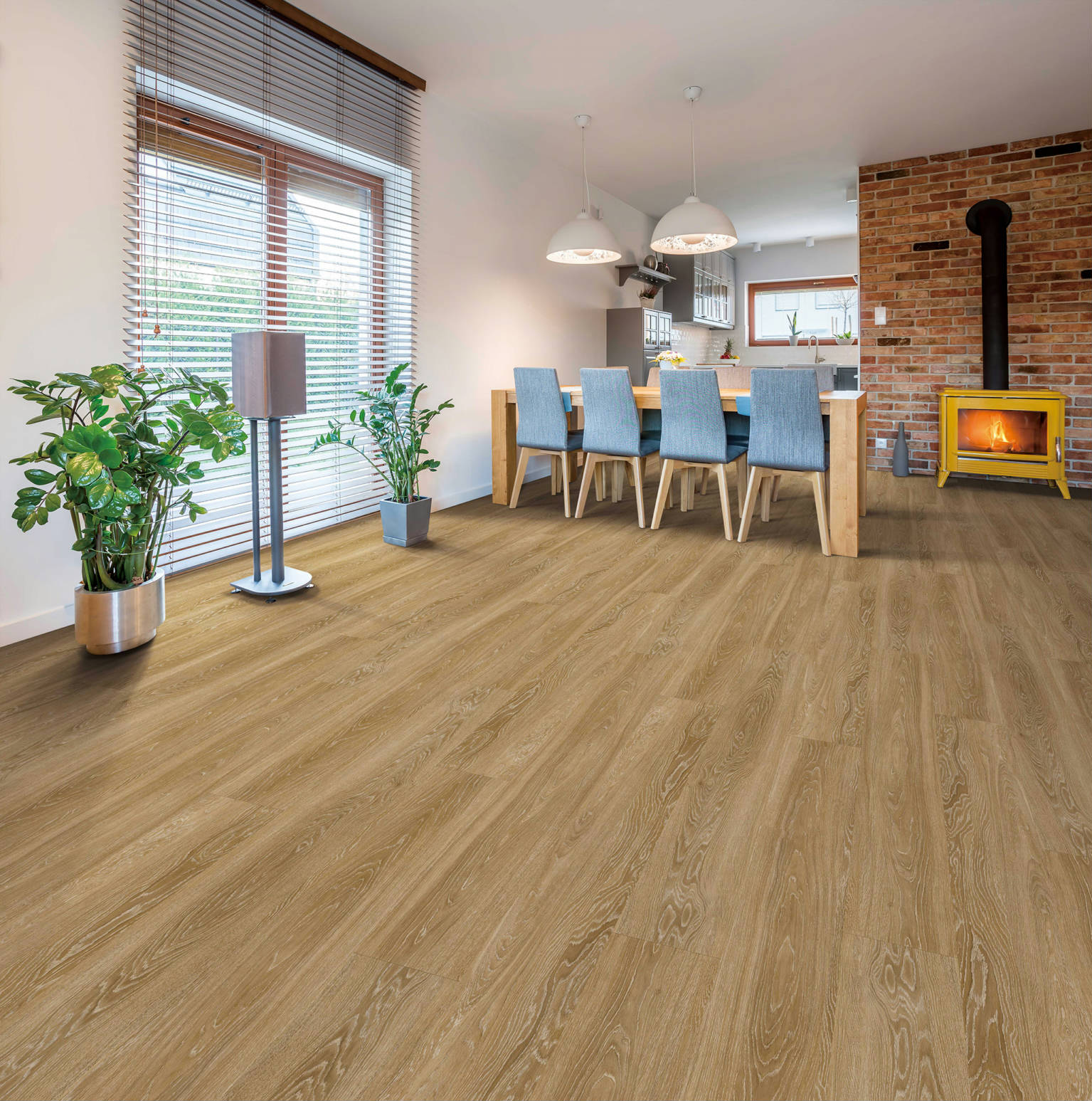 Timber Ridge Platinum 20 11 | Demolive