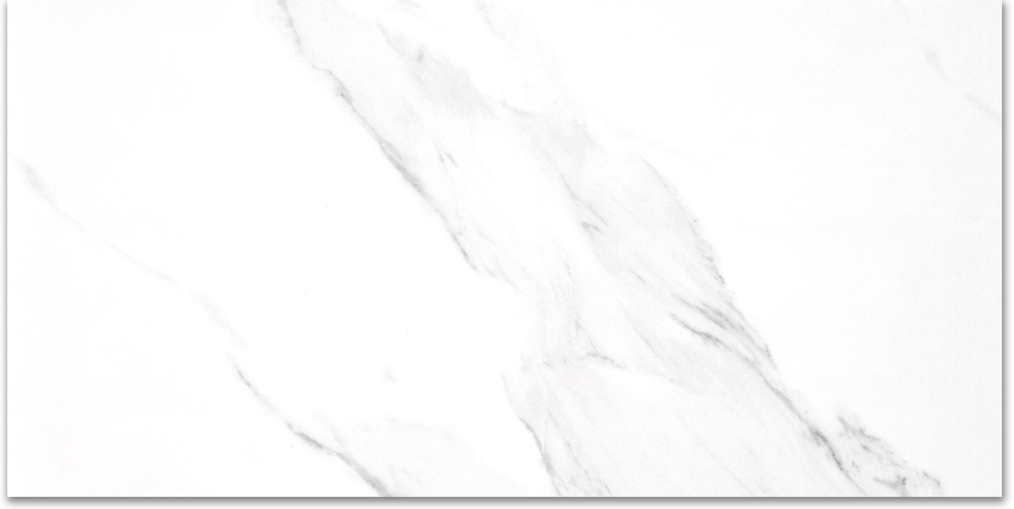 Treasure 12x24 Statuario Polished
